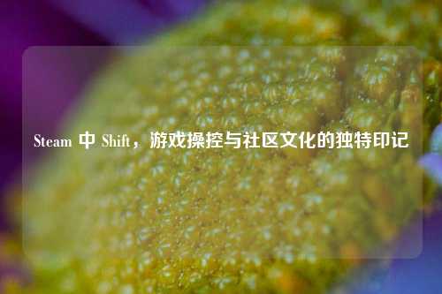 Steam 中 Shift,游戏操控与社区文化的独特印记