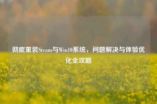 彻底重装Steam与Win10系统,问题解决与体验优化全攻略