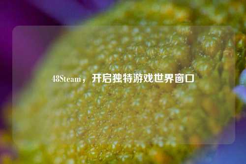 48Steam,开启独特游戏世界窗口