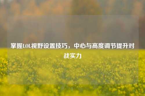掌握LOL视野设置技巧,中心与高度调节提升对战实力