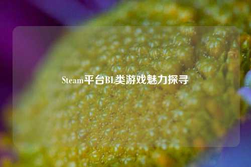 Steam平台BL类游戏魅力探寻
