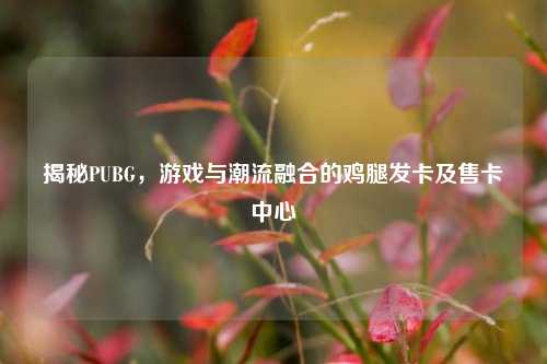 揭秘PUBG,游戏与潮流融合的鸡腿发卡及售卡中心