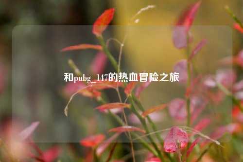 和pubg_147的热血冒险之旅