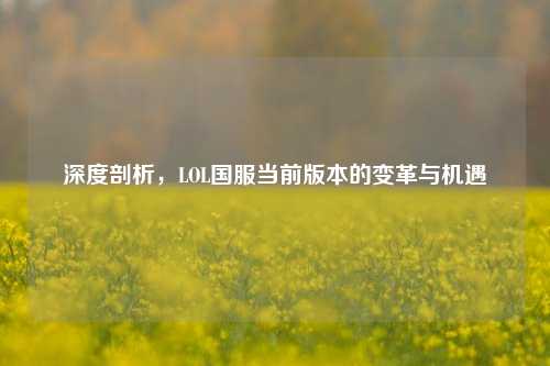 深度剖析,LOL国服当前版本的变革与机遇