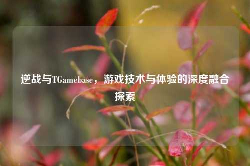 逆战与TGamebase,游戏技术与体验的深度融合探索