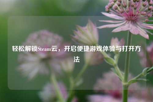 轻松解锁Steam云,开启便捷游戏体验与打开 ***