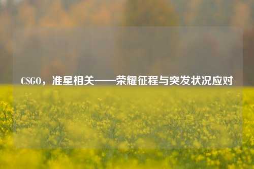 CSGO,准星相关——荣耀征程与突发状况应对