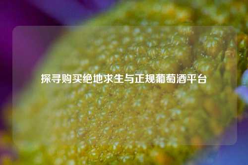 探寻购买绝地求生与正规葡萄酒平台