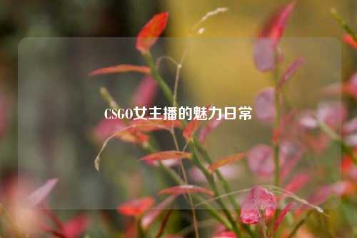 CSGO女主播的魅力日常