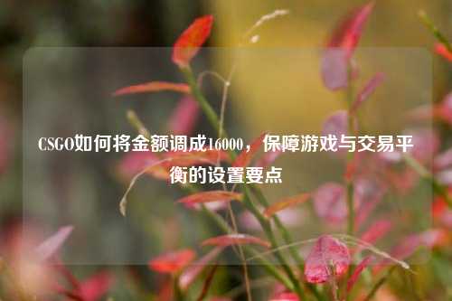 CSGO如何将金额调成16000,保障游戏与交易平衡的设置要点