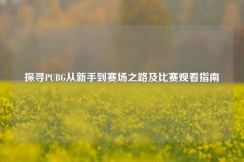 探寻PUBG从新手到赛场之路及比赛观看指南