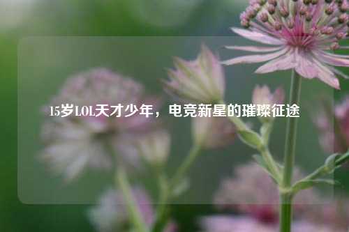 15岁LOL天才少年,电竞新星的璀璨征途