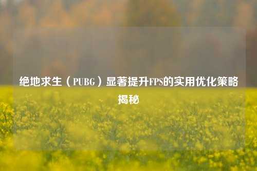绝地求生(PUBG)显著提升FPS的实用优化策略揭秘