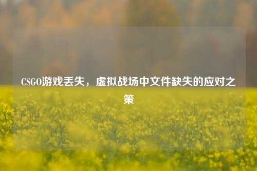 CSGO游戏丢失,虚拟战场中文件缺失的应对之策