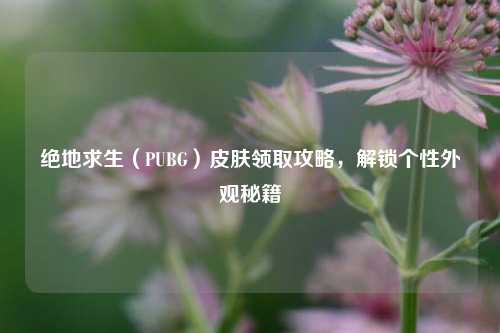 绝地求生(PUBG)皮肤领取攻略,解锁个性外观秘籍