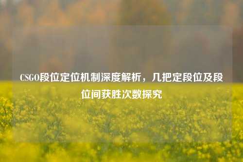 CSGO段位定位机制深度解析,几把定段位及段位间获胜次数探究