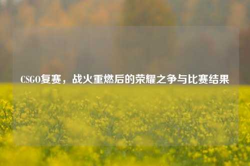 CSGO复赛,战火重燃后的荣耀之争与比赛结果