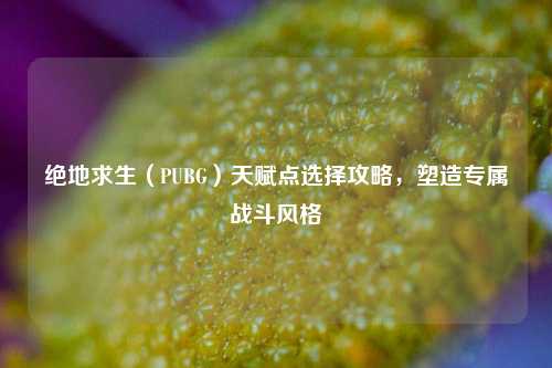 绝地求生(PUBG)天赋点选择攻略,塑造专属战斗风格