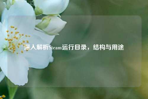 深入解析Steam运行目录,结构与用途