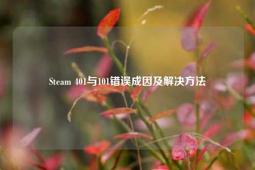 Steam 401与101错误成因及解决 ***