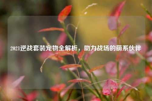 2021逆战套装宠物全解析,助力战场的萌系伙伴
