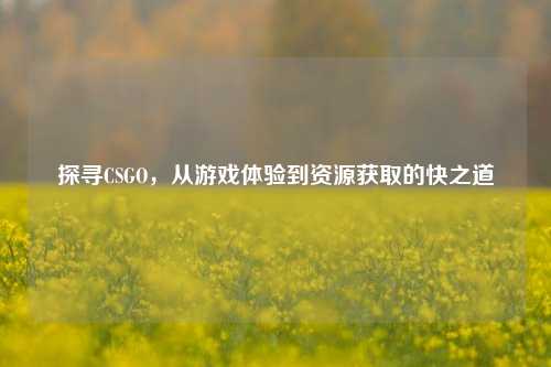 探寻CSGO,从游戏体验到资源获取的快之道