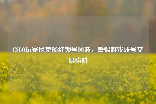 CSGO玩家尼克杨红锁号风波,警惕游戏账号交易陷阱