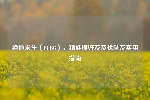 绝地求生(PUBG),精准搜好友及找队友实用指南