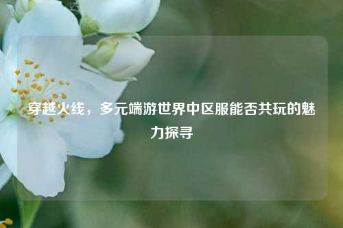 穿越火线,多元端游世界中区服能否共玩的魅力探寻