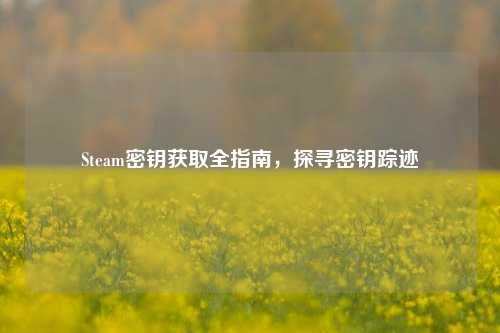 Steam密钥获取全指南,探寻密钥踪迹