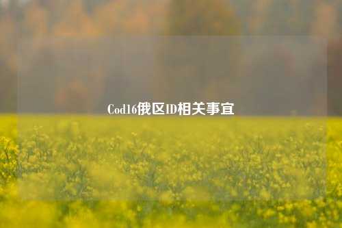 Cod16俄区ID相关事宜