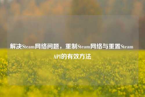解决Steam *** 问题,重制Steam *** 与重置Steam API的有效 ***