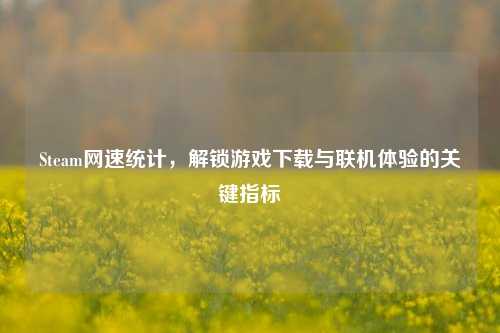 Steam网速统计,解锁游戏下载与联机体验的关键指标