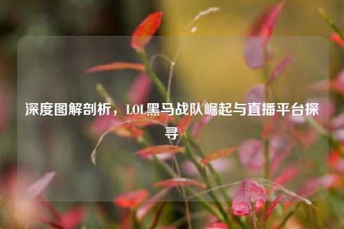 深度图解剖析,LOL黑马战队崛起与直播平台探寻