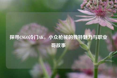 探寻CSGO冷门AK,小众枪械的独特魅力与职业哥故事