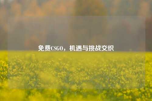 免费CSGO,机遇与挑战交织