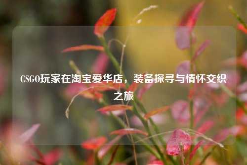 CSGO玩家在 *** 爱华店,装备探寻与情怀交织之旅