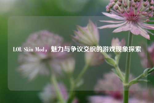 LOL Skin Mod,魅力与争议交织的游戏现象探索