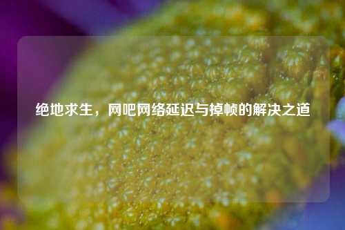 绝地求生,网吧 *** 延迟与掉帧的解决之道