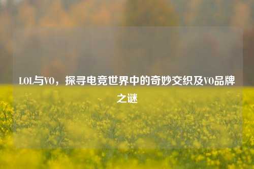LOL与VO,探寻电竞世界中的奇妙交织及VO品牌之谜