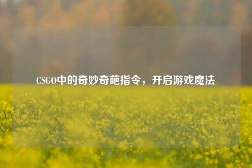 CSGO中的奇妙奇葩指令,开启游戏魔法