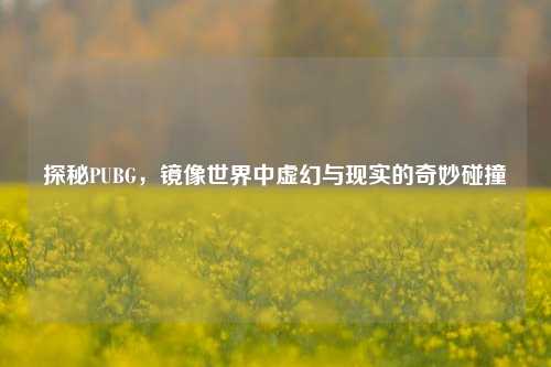 探秘PUBG,镜像世界中虚幻与现实的奇妙碰撞