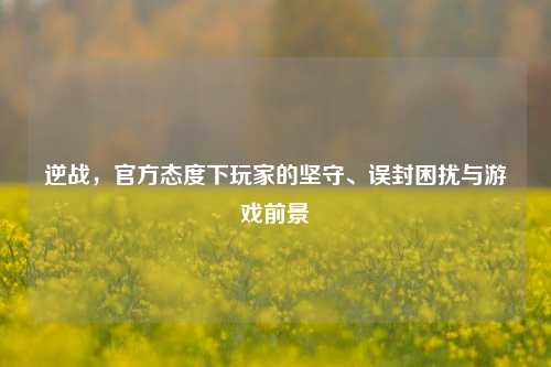 逆战,官方态度下玩家的坚守、误封困扰与游戏前景