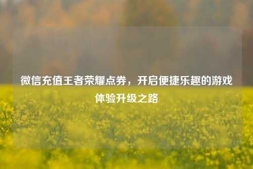 微信充值王者荣耀点券,开启便捷乐趣的游戏体验升级之路