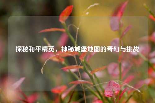 探秘和平精英,神秘城堡地图的奇幻与挑战