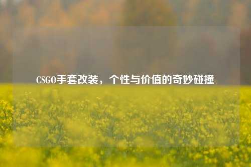 CSGO手套改装,个性与价值的奇妙碰撞