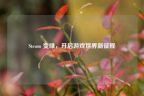 Steam 变绿,开启游戏世界新征程