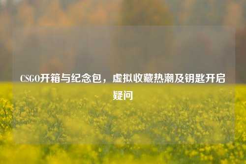 CSGO开箱与纪念包,虚拟收藏热潮及钥匙开启疑问