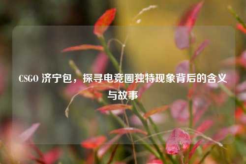CSGO 济宁包,探寻电竞圈独特现象背后的含义与故事