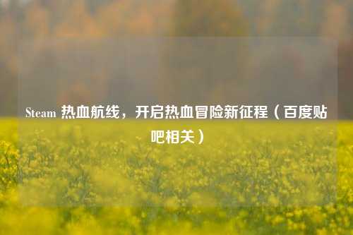 Steam 热血航线,开启热血冒险新征程(百度贴吧相关)